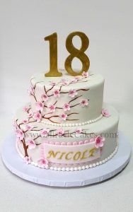 15-anos-cake-4